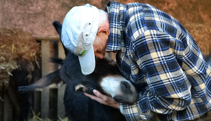 Sostenere gli animali_Tiziana Marini