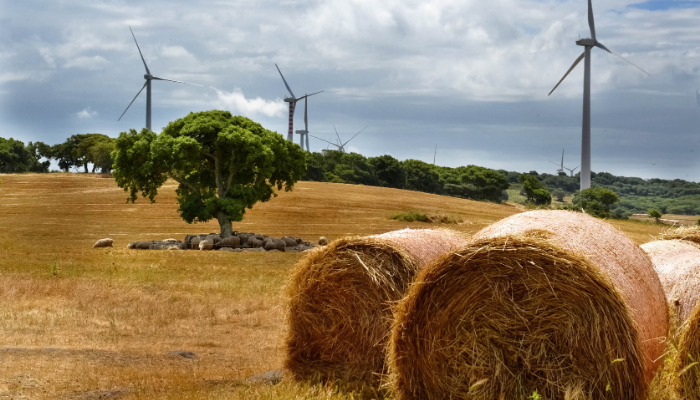 Sostenere l’agricoltura_Tiziana Marini